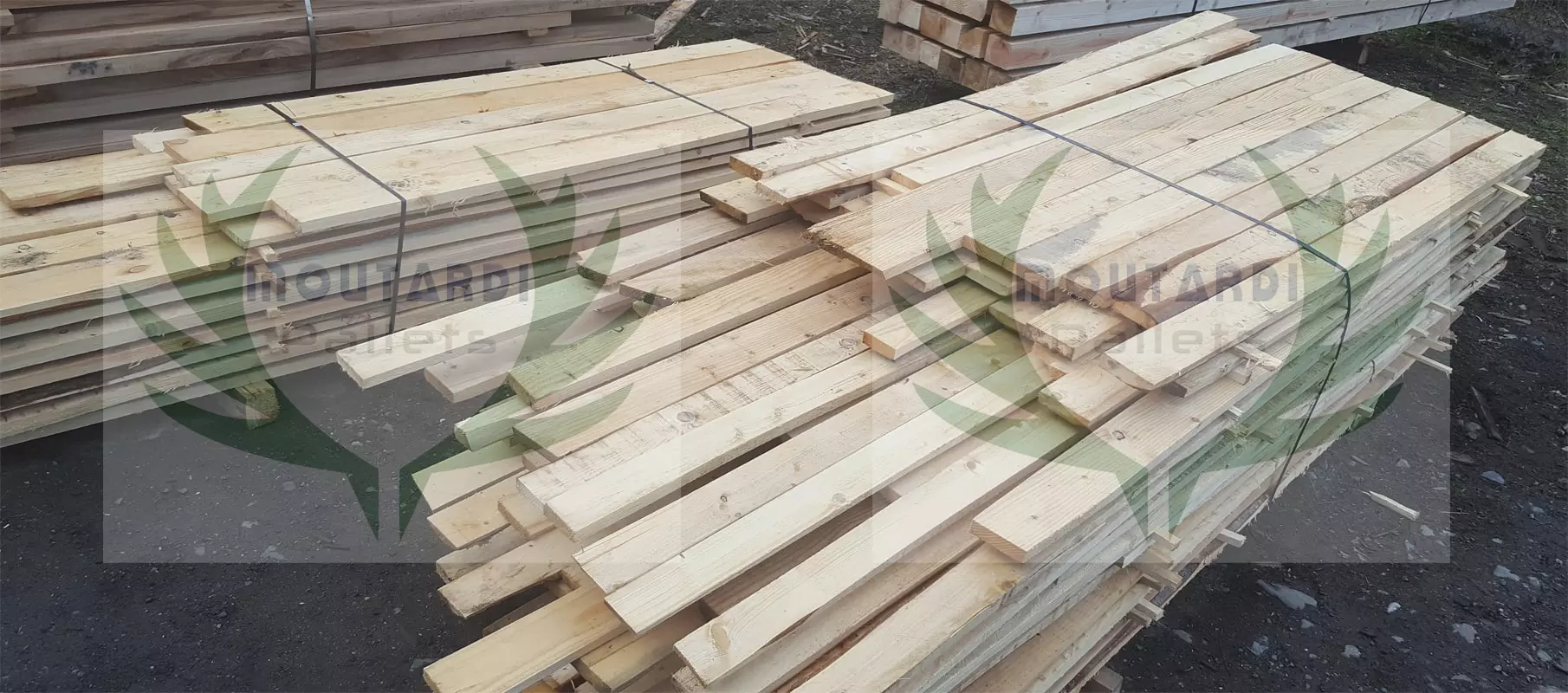 Softwood timber 5