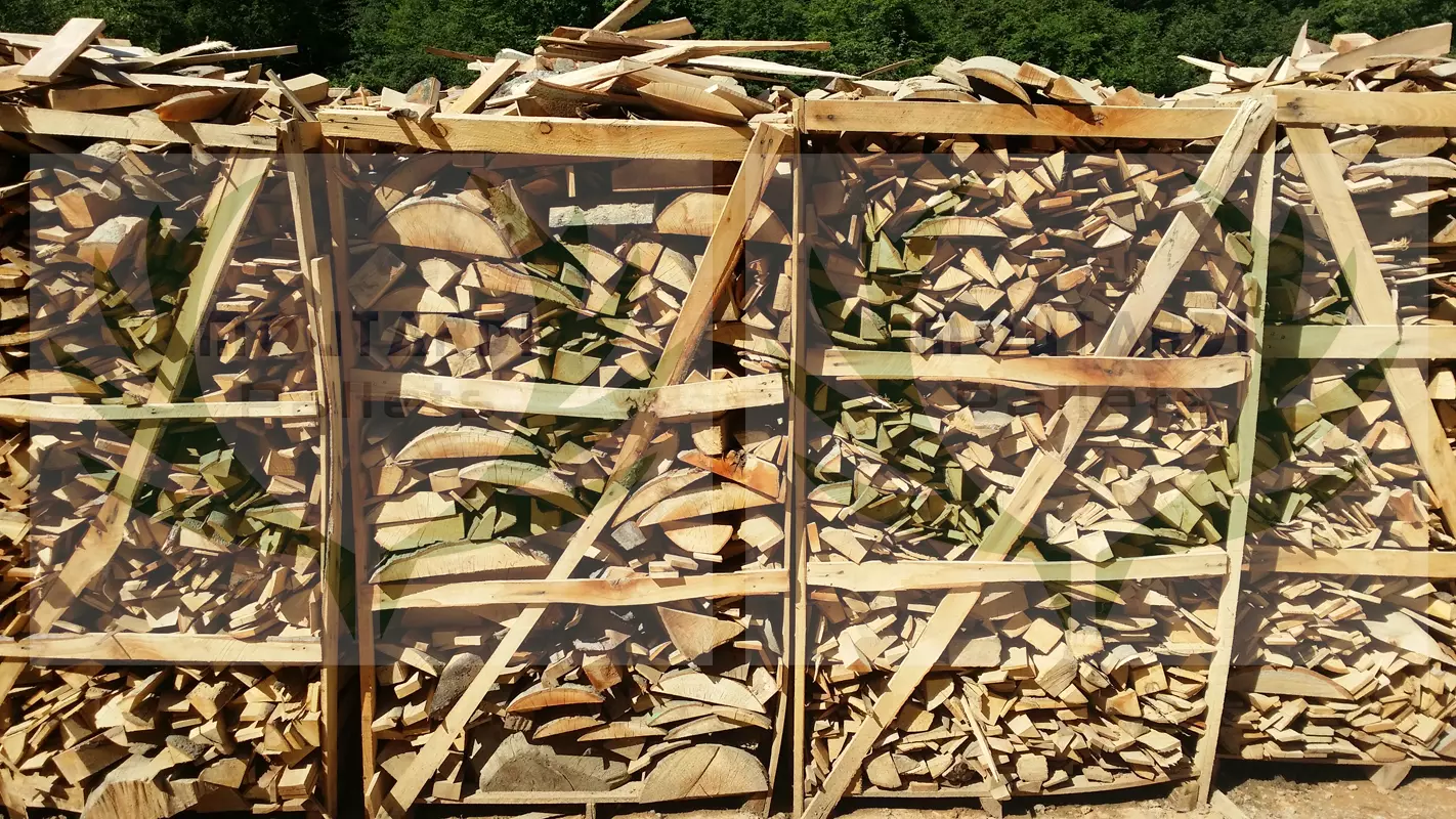 Beech wood scraps 6